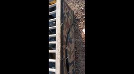 The video contains a site for launching pigeons.