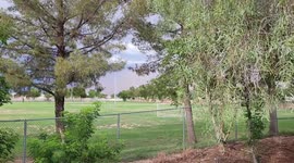 US: Massive Dust Storm Slams Phoenix Area Leaving Thousands Without Power 2