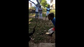 Indian man who copies his idol and kisses four-foot-long cobra gets badly bitten on his lips
