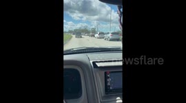 Florida cars slammed with long lines for gas during Hurricane Ian aftermath