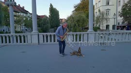 Melodic dog provides backing vocals to owner's saxophone session
