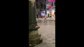 Dog enjoys playing with balloon until a man SMOKES it with his cigarette