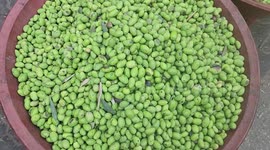 Palestinian vendors sell olives in the oldest olive market in the Gaza Strip