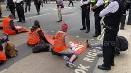 Just Stop Oil block the roads in Westminster again