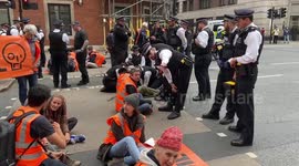 Police attempt to remove Just Stop Oil activist glued to roads in Westminster