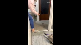 When you take a swing at a house spider, you better not miss!