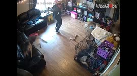 Child runs to hug her dancing mom but unexpectedly falls under a small table