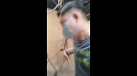 Parrot attacks and bites zoo-goer while he was selfie with her