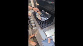 Family's first s'mores BBQ experiment ends in a FIERY MESS