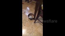 Damage caused by Hurricane Ian in Lakeland, FL, USA