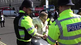 Police make arrests and carry away Just Stop Oil protesters at Trafalgar Square