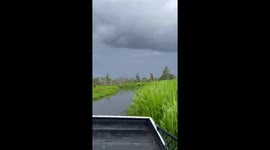 Massive crocodile getting chased up a creek in the Northern Territory, Australia.