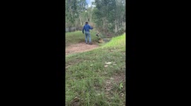 Massive crocodile getting chased up a creek in the Northern Territory, Australia.