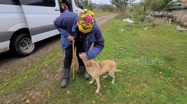 Heartwarming moment Ukrainian woman is reunited with dog that went missing during Russian shelling