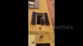 Cat owner put a funny meme on his house wall in Bologna, Italy