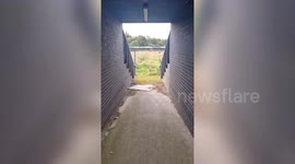 Take a look inside the abandoned football stadium that's set to be demolished after 2017 floods spearheaded Japanese knotweed infestation