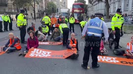 Just Stop Oil activists sit and block the traffic in Whitehall outside Downing Street