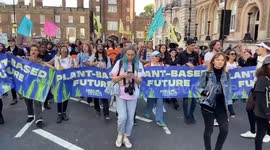 Animal Rebellion block Westminster Bridge