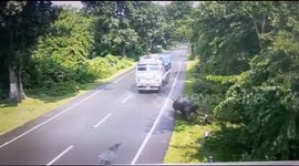 Rhino charging truck gets hit by it and tumbles on street