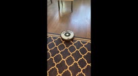 Couldn’t figure out why my Roomba kept shutting off. Mykonos has learned to shut it off