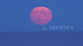 Stunning Full Hunter's Moon seen rising above Kentish Flats Windfarm, UK