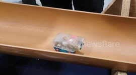 Footage from the New Scientist Live 2022 that was held at the Excel Center in London