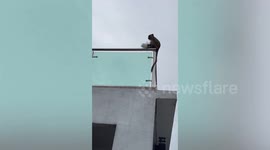 Monkey steals resident's PARCEL and opens it on the roof