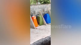 Chinese students study outside in tents so they don't disturb roommates