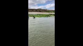 Willa, the German Wirehaired Pointer, loves to bounce through the waves.