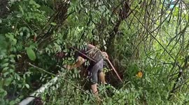 Two stray kittens rescued from canal after storm in Thailand