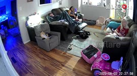 Cat tries to spoil hoomans' movie night by pulling a silly stunt
