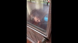 Mom learns that vacationing with kids is anything but a relaxing experience