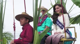 Water buffalo dressed in extravagant outfits are paraded during Thai festival
