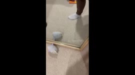 Adorable 1-year-old wearing Elmo costume waves at himself in mirror