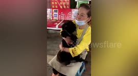 Dog owner cries tears of joy after missing pooch returns home