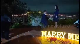 Ring bear-er! Grizzly interrupts 'unforgettable' wedding proposal in Mexico