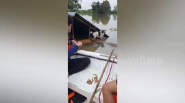 Dog stranded on roof during severe flooding rescued in Thailand