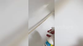 Professional cleaner reveals grottiest transformations including mould covered student flats