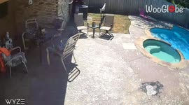 Boy EPICALLY falls into pool after tripping over his 'dumbo' feet