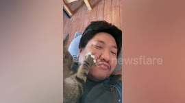 Loving pet cat gives owner relaxing facial massage