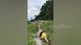 Pretty tourist trips on stick while taking selfie at coconut farm