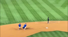 Goose on the loose delights fans as it lands on Los Angeles Dodgers' pitch