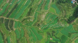 Aerial Footage Of A Leaflike Terraced Field In Zaozhuang, Shandong, China
