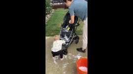 2 year old ferociously cleans stroller