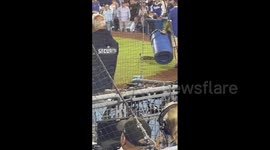 Wild goose lands on field of Dodger Stadium, Los Angeles