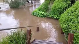 Severe flooding outside someone's house in Melbourne, Australia