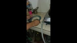 Cooking fail! Plate of pasta breaks from high temperature