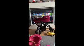 Sleeping toddler wakes up as soon as she hears 'Cocomelon' theme