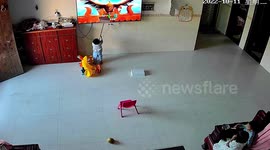 Chinese toddler smashes TV with dustpan after spotting something he didn't like