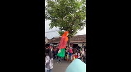 Man wearing large puppet costume loses visibility and crashes into woman during carnival event